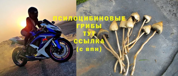 МДПВ Абинск