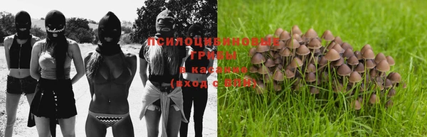 МДПВ Абинск